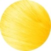 Jasny Blond